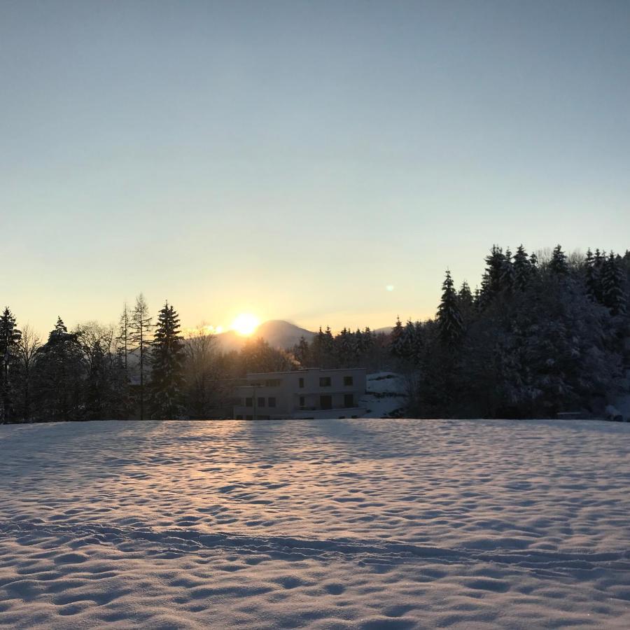 Quartier39 Daire Sankt Johann in Tirol Dış mekan fotoğraf